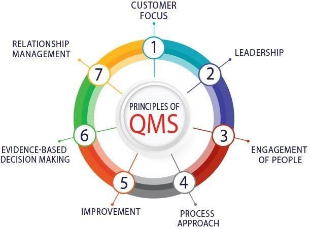 The 7 Principles of Quality Management System (QMS)